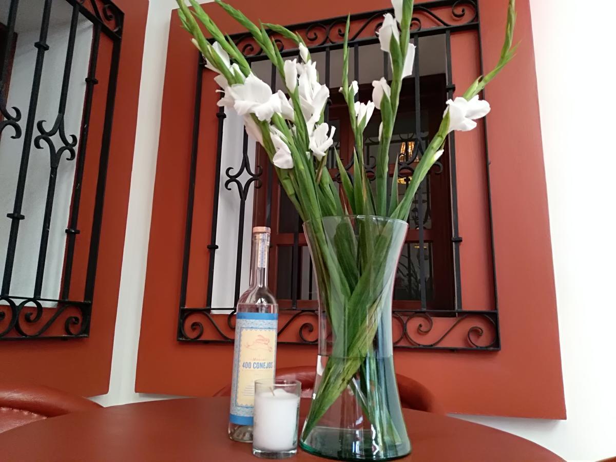 Casa Agave Oaxaca Bed & Breakfast Luaran gambar