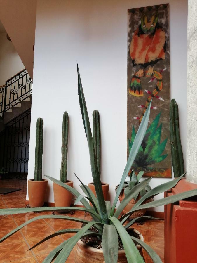 Casa Agave Oaxaca Bed & Breakfast Luaran gambar