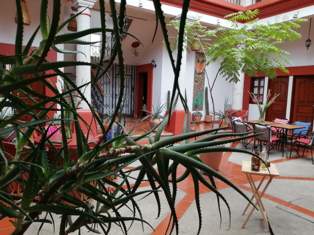 Casa Agave Oaxaca Bed & Breakfast Luaran gambar